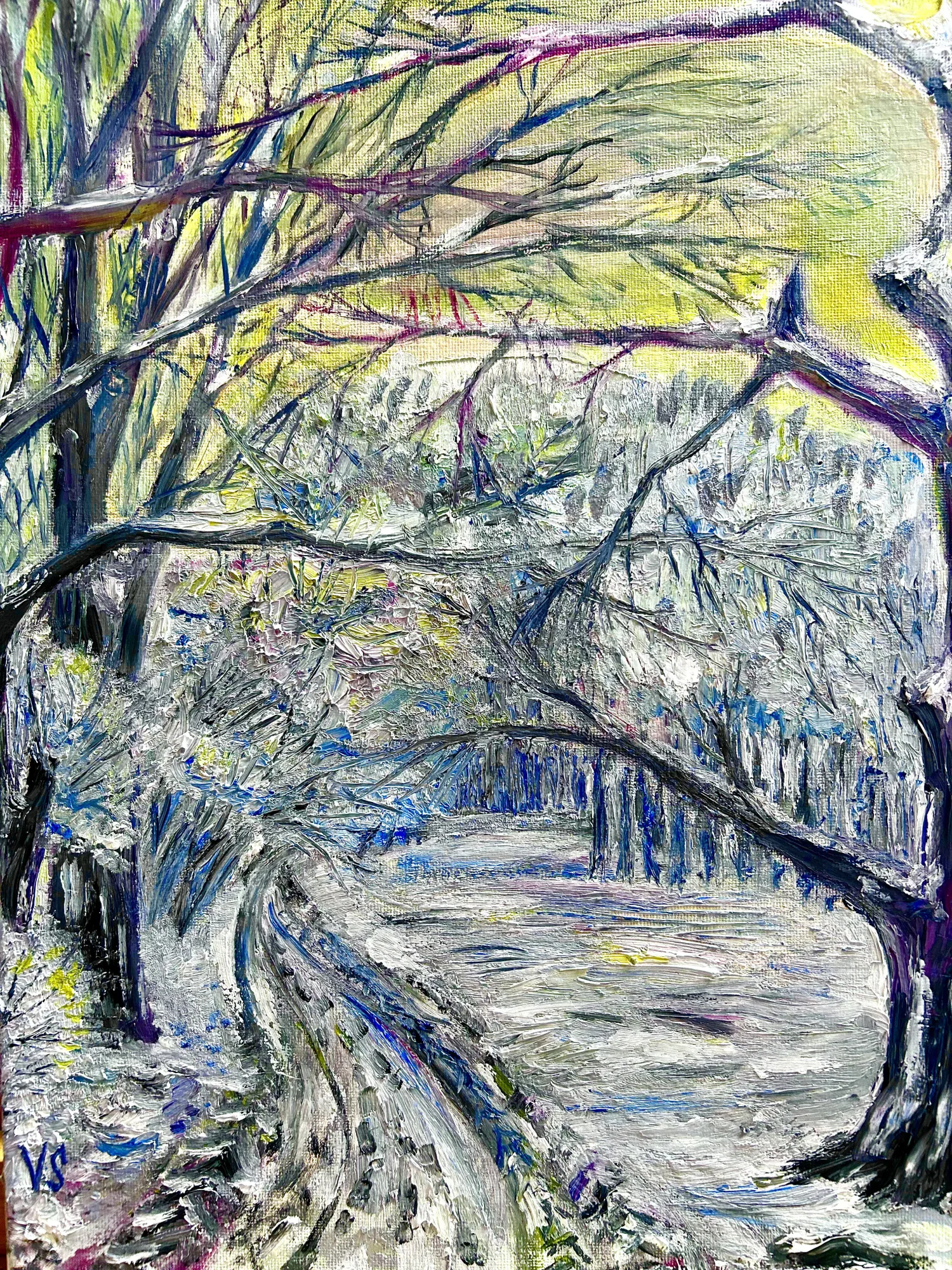 Winter im Wald